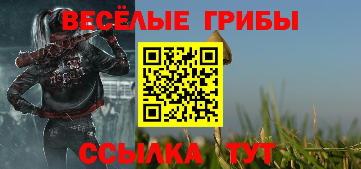 Галлюциногенные грибы Cubensis Пугачёв